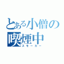 とある小僧の喫煙中（スモーカー）