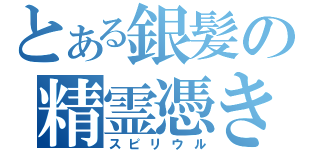 とある銀髪の精霊憑き（スピリウル）