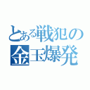 とある戦犯の金玉爆発（）