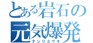 とある岩石の元気爆発（ナンリユウキ）