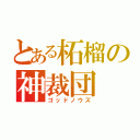 とある柘榴の神裁団（ゴッドノウズ）