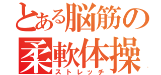 とある脳筋の柔軟体操（ストレッチ）