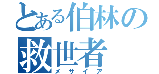 とある伯林の救世者（メサイア）