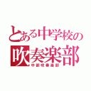 とある中学校の吹奏楽部（中部吹奏楽部）