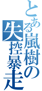 とある嵐樹の失控暴走（）