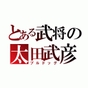 とある武将の太田武彦（ブルドッグ）