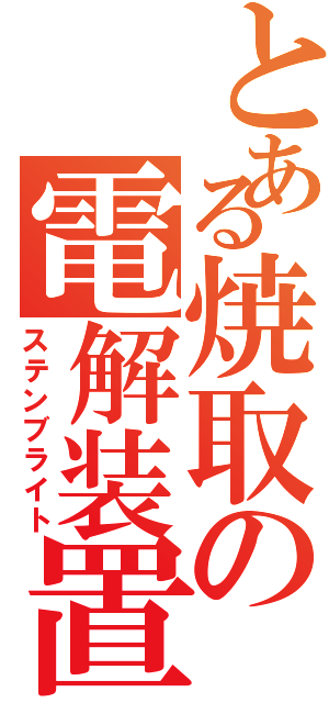 とある焼取の電解装置（ステンブライト）