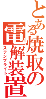 とある焼取の電解装置（ステンブライト）