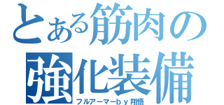 とある筋肉の強化装備（フルアーマーｂｙ翔悟）