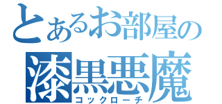 とあるお部屋の漆黒悪魔（コックローチ）