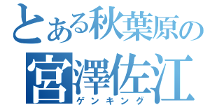 とある秋葉原の宮澤佐江（ゲンキング）