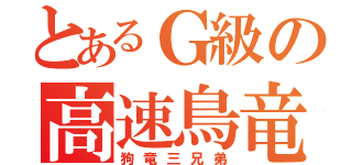 とあるＧ級の高速鳥竜（狗竜三兄弟）