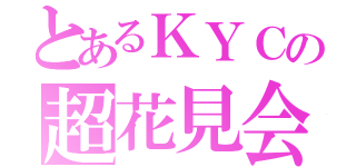 とあるＫＹＣの超花見会（）