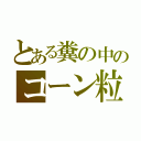 とある糞の中のコーン粒（）