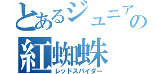 とあるジュニアの紅蜘蛛（レッドスパイダー）