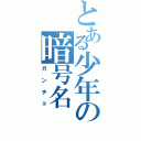 とある少年の暗号名（ガンチョ）