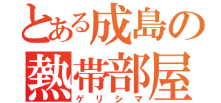 とある成島の熱帯部屋（ゲリシマ）