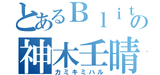 とあるＢｌｉｔｚの神木壬晴（カミキミハル）