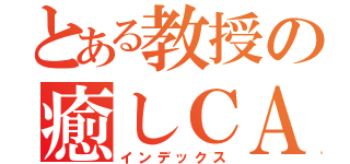 とある教授の癒しＣＡＳ（インデックス）