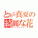 とある真夏の綺麗な花火（インデックス）