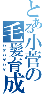 とある小菅の毛髪育成（ハゲハゲハゲ）