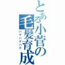 とある小菅の毛髪育成（ハゲハゲハゲ）