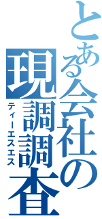 とある会社の現調調査（ティーエスエス）