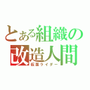 とある組織の改造人間（仮面ライダー）