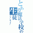 とある魔法学校の生徒（ハリーポッター）