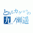 とあるカゲロウの九ノ瀬遥（コノハ）