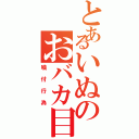 とあるいぬのおバカ目録（噛付行為）