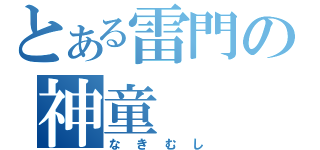 とある雷門の神童（なきむし）