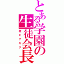 とある学園の生徒会長（桂ヒナギク）