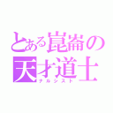 とある崑崙の天才道士（ナルシスト）