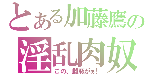 とある加藤鷹の淫乱肉奴隷（この、雌豚がぁ！）