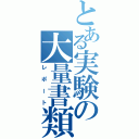 とある実験の大量書類（レポート）