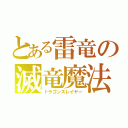 とある雷竜の滅竜魔法（ドラゴンスレイヤー）