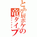 とある厨ポケの竜タイプ（ガブリアス）