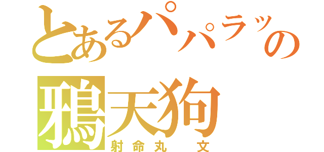 とあるパパラッチの鴉天狗（射命丸 文）