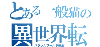 とある一般猫の異世界転生（パラレルワールド転生）