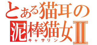 とある猫耳の泥棒猫女Ⅱ（キャサリン）