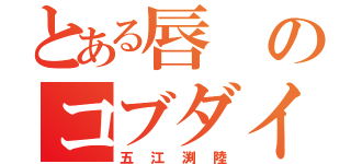 とある唇のコブダイ（五江渕陸）