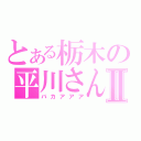 とある栃木の平川さんⅡ（バカアアア）