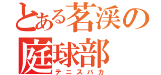 とある茗渓の庭球部（テニスバカ）