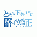 とある下等生物の縮毛矯正（ゴキブリ）