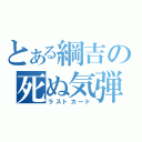 とある綱吉の死ぬ気弾（ラストカード）