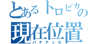 とあるトロピカルの現在位置（バナナっち）