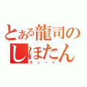 とある龍司のしほたん（キュート）