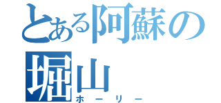 とある阿蘇の堀山（ホーリー）