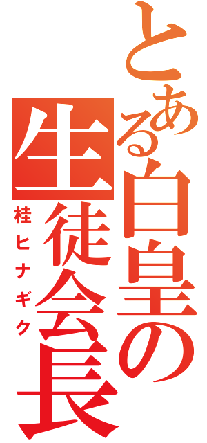 とある白皇の生徒会長（桂ヒナギク）